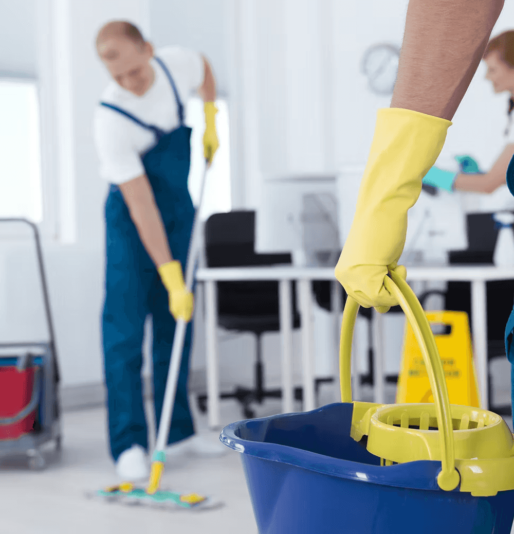 Standard Cleaning image